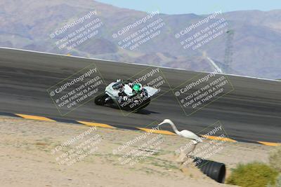 media/Mar-10-2024-SoCal Trackdays (Sun) [[6228d7c590]]/2-Bowl (10am)/